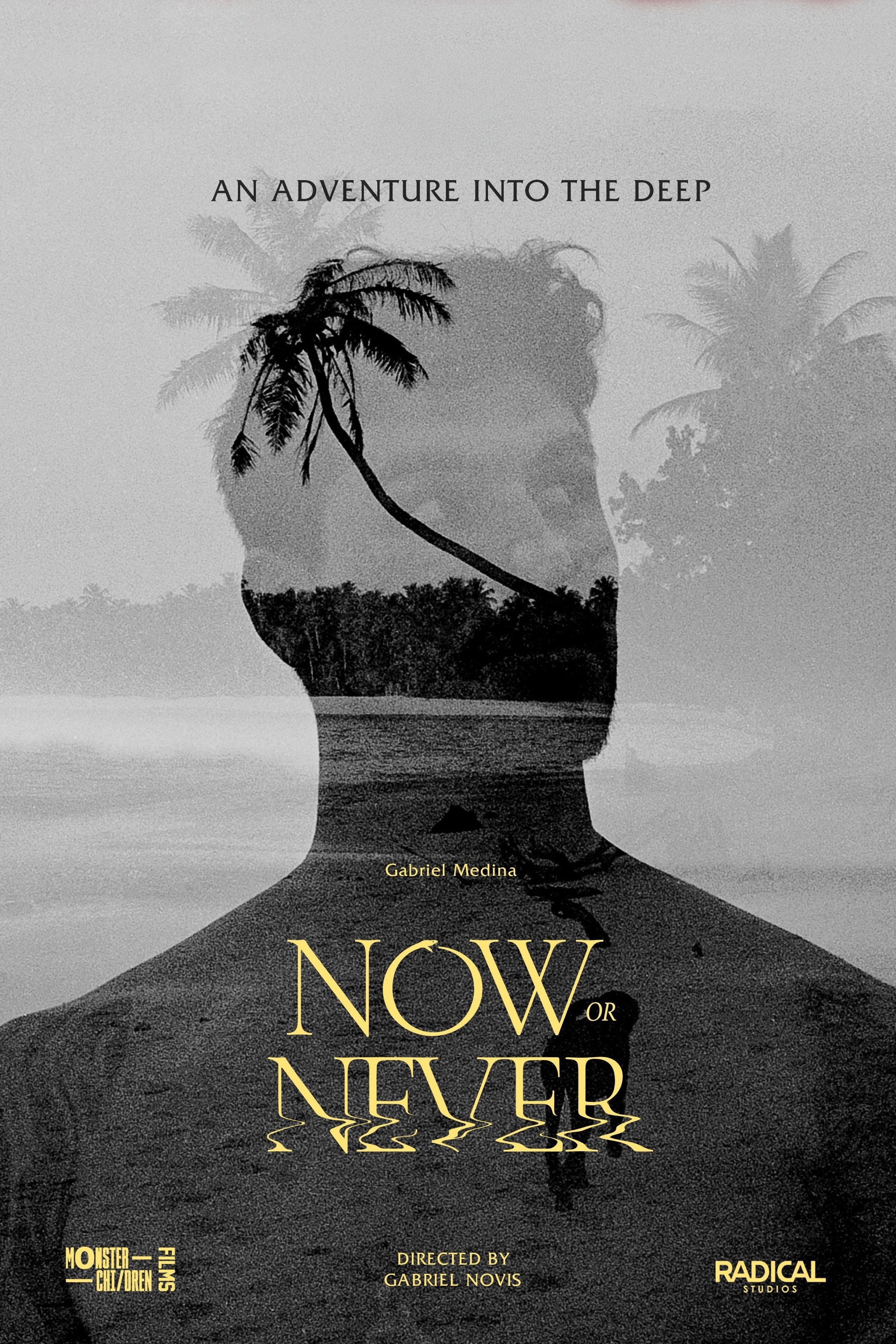 Now or Never (2024)