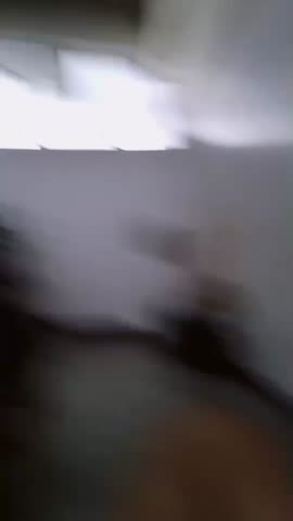 Clip 121