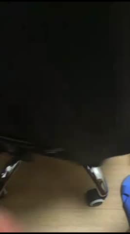 Clip 1241