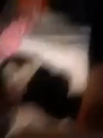 Clip 387