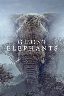 Ghost Elephants (2026)