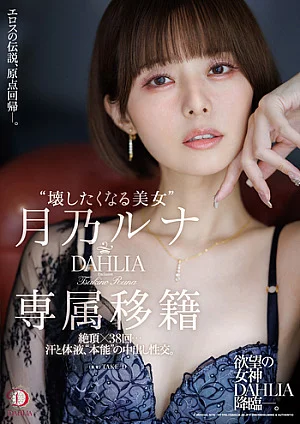 DLDSS-482