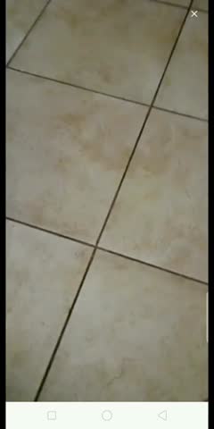 Clip 1336