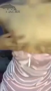 Clip 450