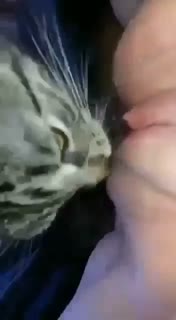 VID 20241013 WA0015